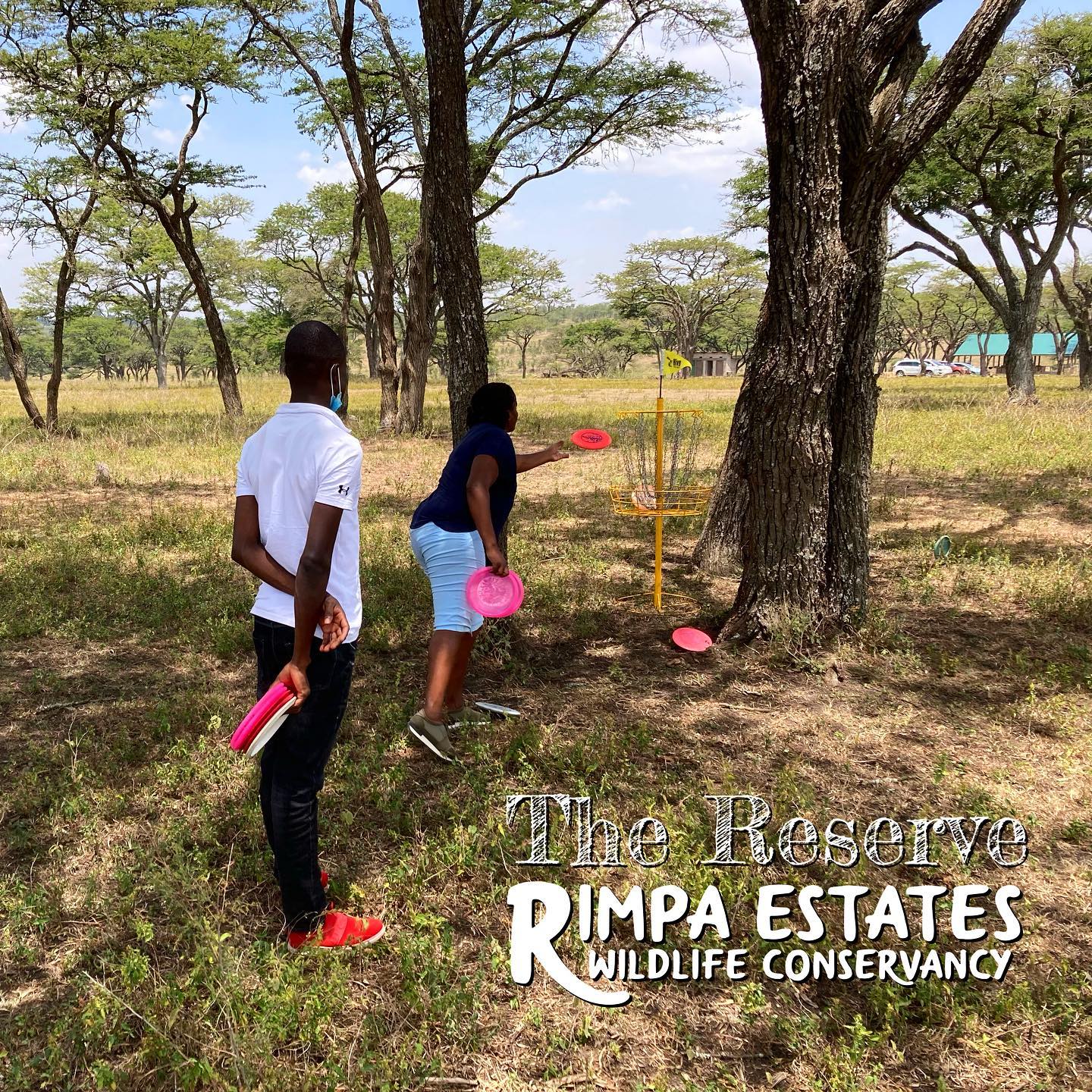 We’re excited to share the disc golf experience with you any time you picnic or camp with us. It’s a great way to enjoy the scenery and wildlife  here at The Reserve. 

#discgolfkenya #discgolf #discgolfafrica #kenyacamping #campinginkenya #nairobigetaway #nairobikenya #wildlifekenya #kenyawildlife #wildlifeconservation